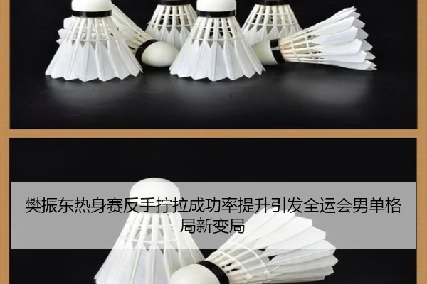 樊振东热身赛反手拧拉成功率提升引发全运会男单格局新变局